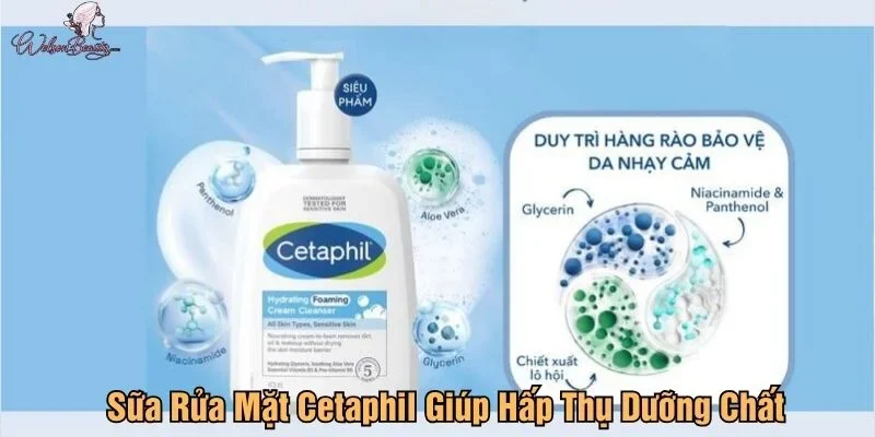 Sữa rửa mặt Cetaphil giúp hấp thụ dưỡng chất tốt hơn