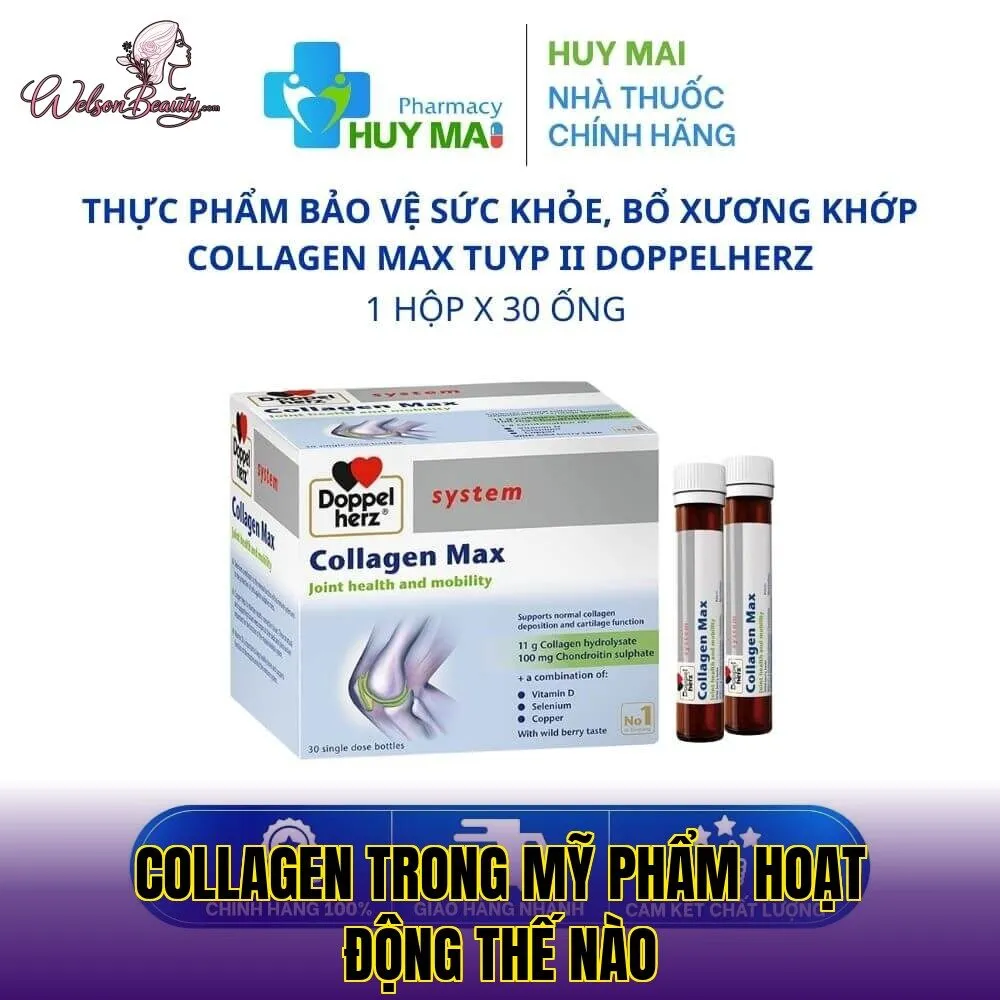 collagen trong mỹ phẩm hoạt động thế nào