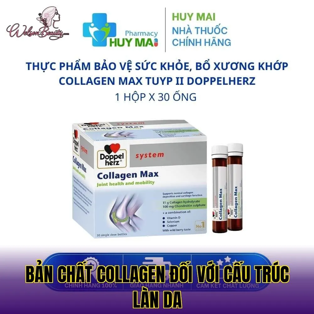 bản chất collagen đối với cấu trúc làn da