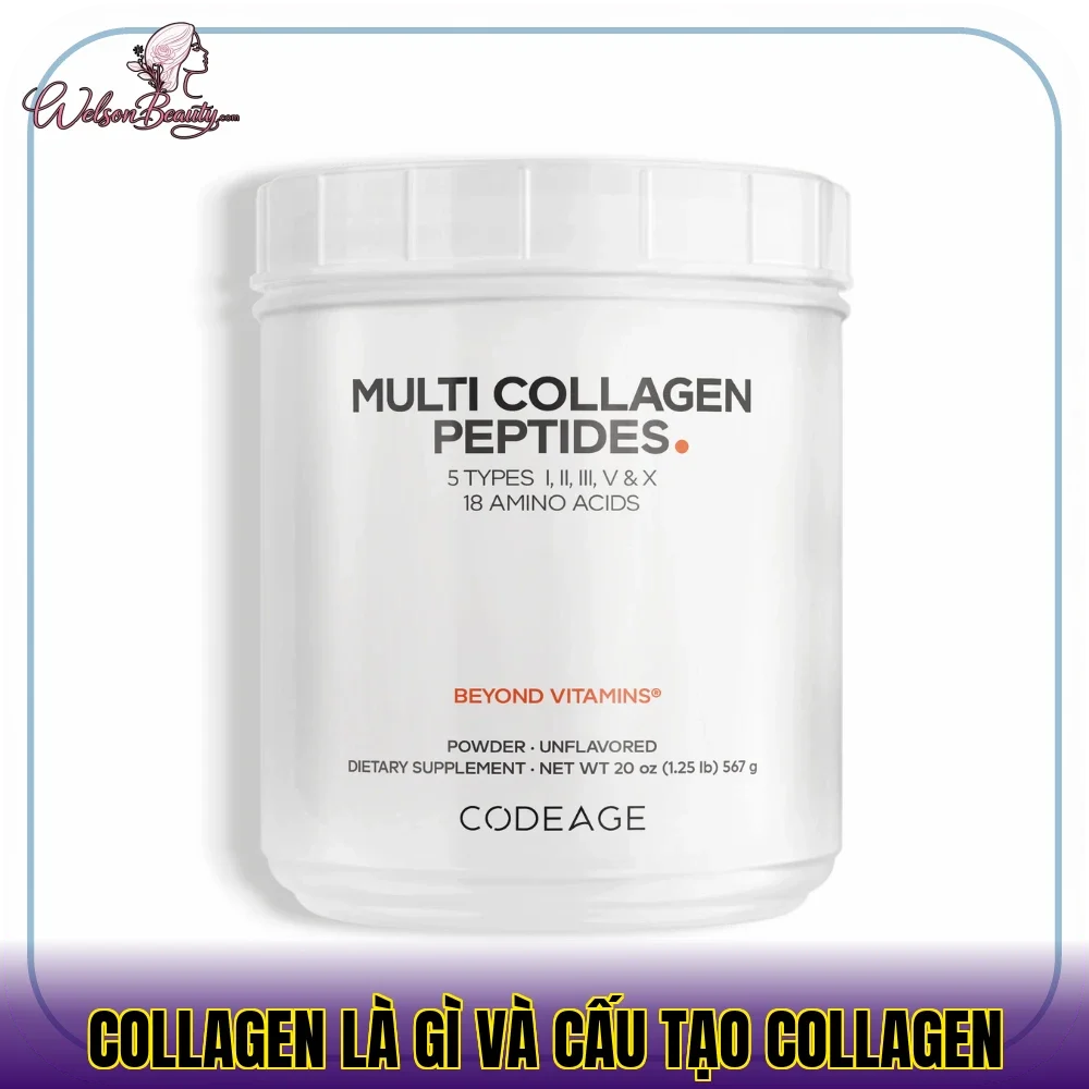 collagen là gì và cấu tạo collagen