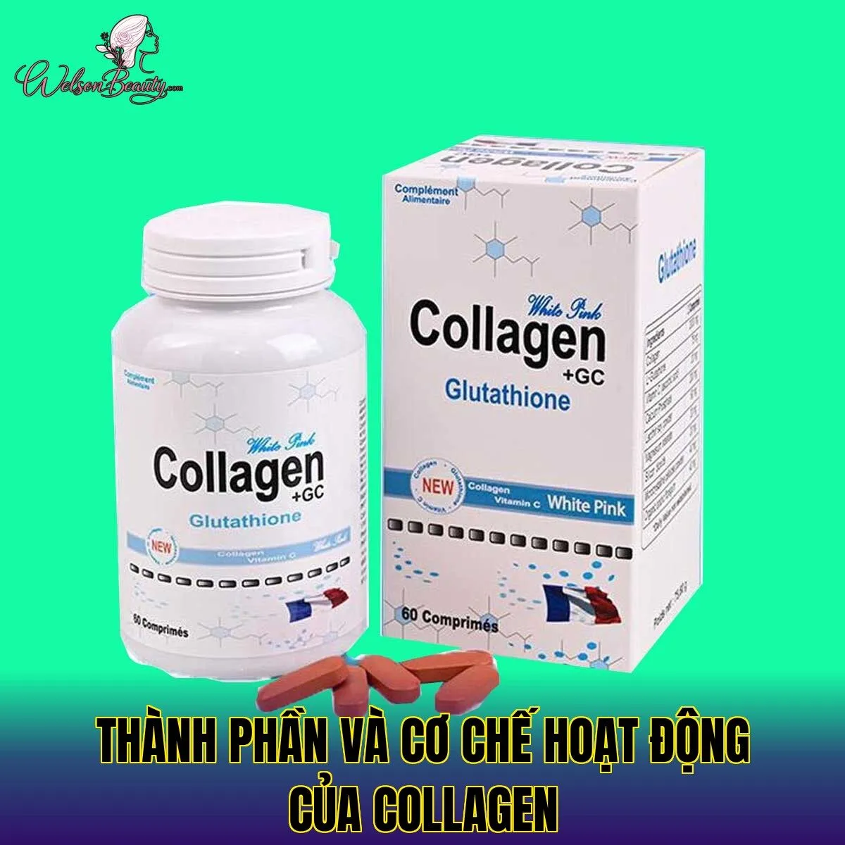 thành phần và cơ chế hoạt động của collagen