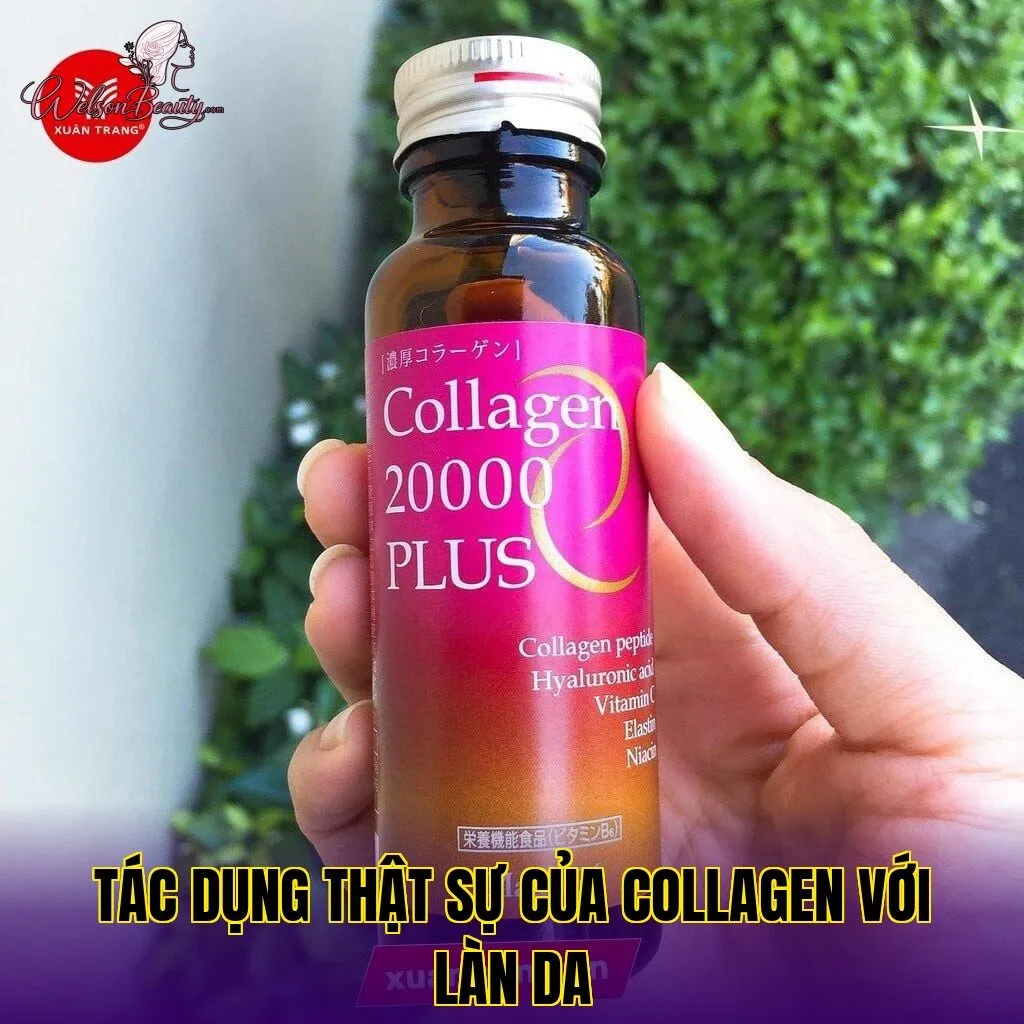 tác dụng thật sự của collagen với làn da