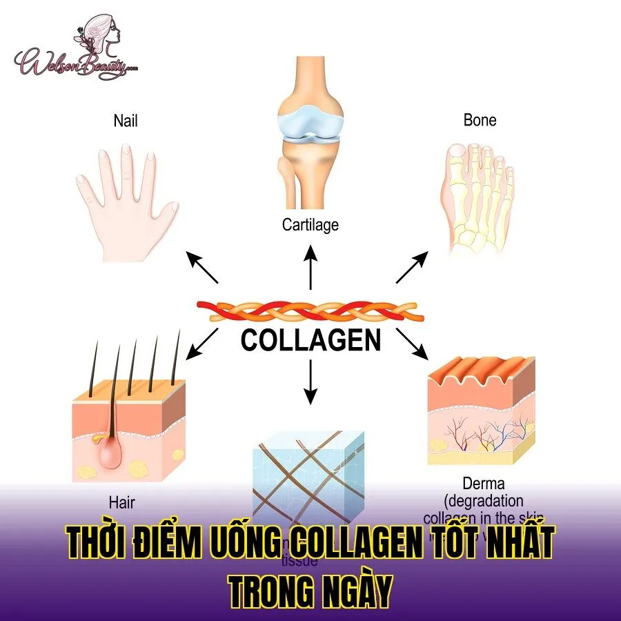 thời điểm uống collagen tốt nhất trong ngày