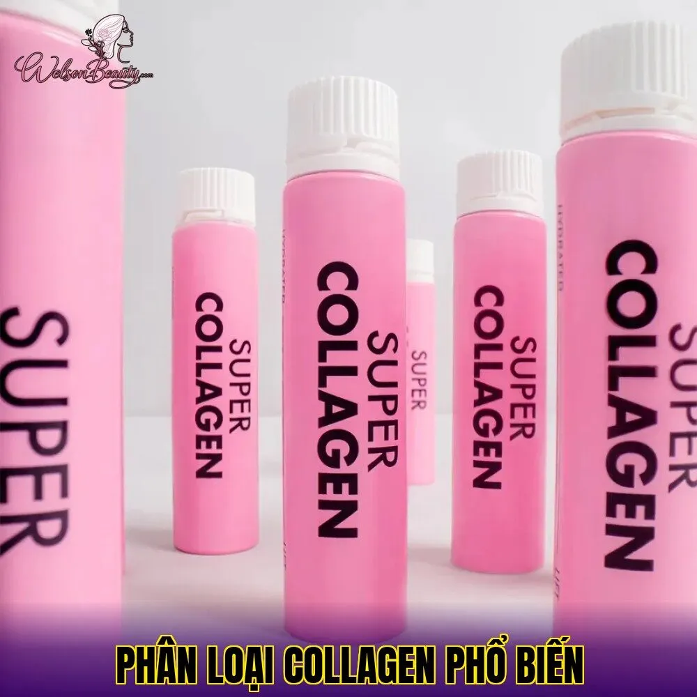 phân loại collagen phổ biến