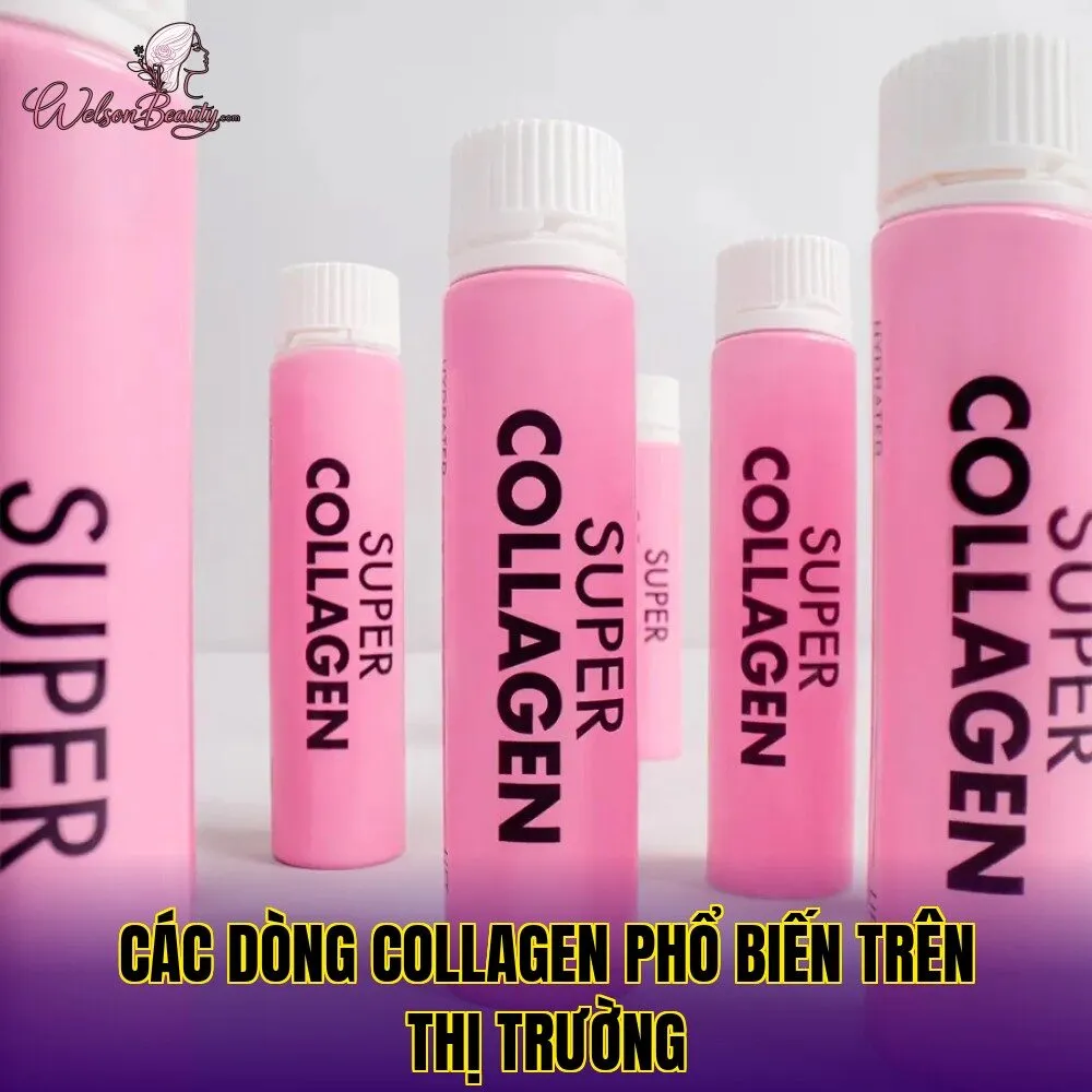 các dòng collagen phổ biến trên thị trường